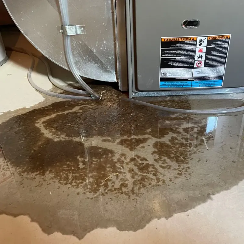 Pipe Burst and Leak Restoration in Cooperstown, NY